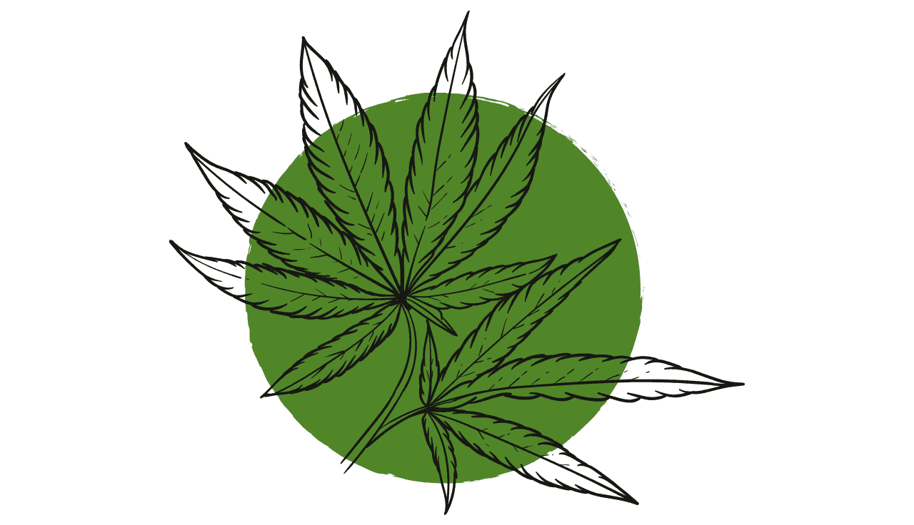 Cannabispflanzen Illustration auf einem grünen Kreis